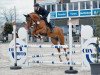 jumper Schampus Pj (Hanoverian, 2012, from Stanley)