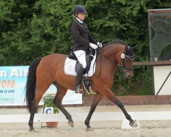 dressage horse Donna Littchen 5 (German Riding Pony, 2004, from Der feine Lord AT)