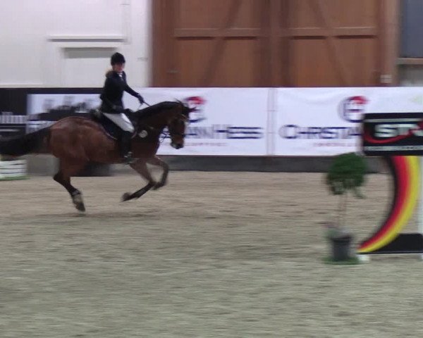 Nordic Jumping events 2018