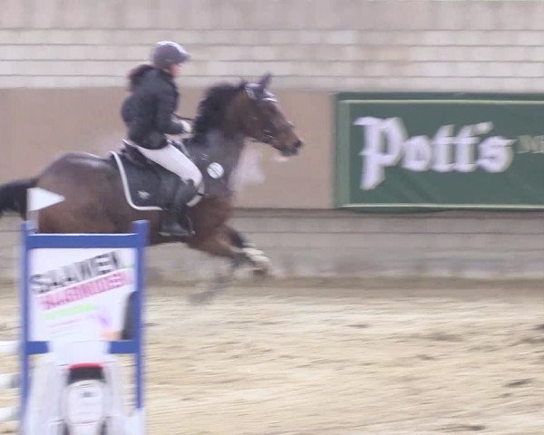 Reitturnier Oelde 2018