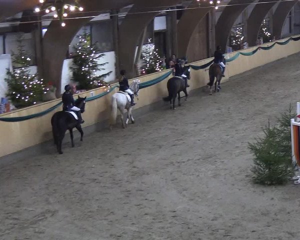 Reitturnier Leck 2018