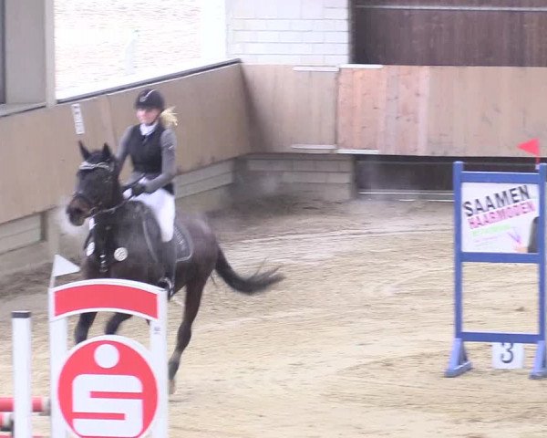 Reitturnier Oelde 2018