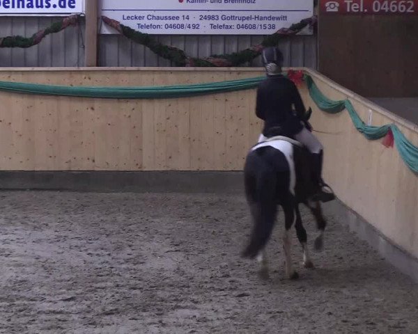 Reitturnier Leck 2018