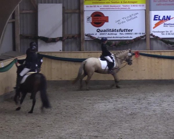 Reitturnier Leck 2018