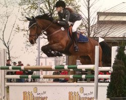 jumper Nikita 378 (German Sport Horse, 2004, from Noblissimo)