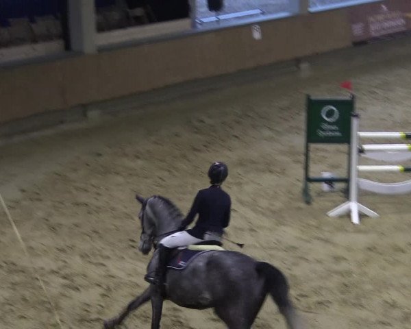 Reitturnier Oelde 2018