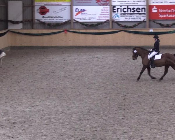 Reitturnier Leck 2018