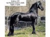 stallion Andries 415 Sport (Friese, 2000, from Tsjerk 328)