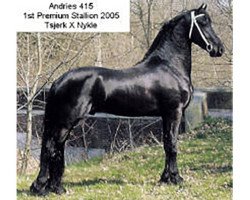 stallion Andries 415 Sport (Friese, 2000, from Tsjerk 328)