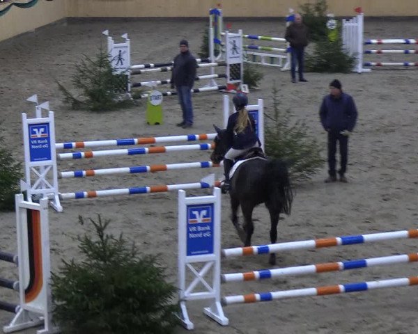 Reitturnier Leck 2018