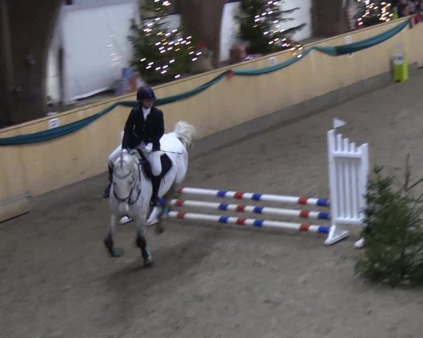 Reitturnier Leck 2018