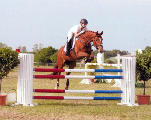broodmare Cate 2 (Oldenburg show jumper, 2003, from Couleur Rubin)