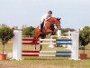 broodmare Cate 2 (Oldenburg show jumper, 2003, from Couleur Rubin)