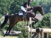 jumper Charlie 225 (Oldenburg show jumper, 2010, from Clinton I)