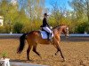 dressage horse Juna-Jolie (Mecklenburg, 2001, from Juventus)