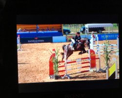 jumper Captain Cookie (Hanoverian, 2010, from Cloney)