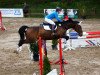 jumper Calvin 97 (German Sport Horse, 2007, from Cashmaker)