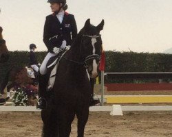 dressage horse Donny Deluxe 2 (Hanoverian, 2009, from Dancier)