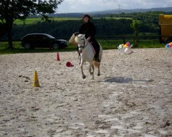 broodmare Loona (German Riding Pony, 2002)