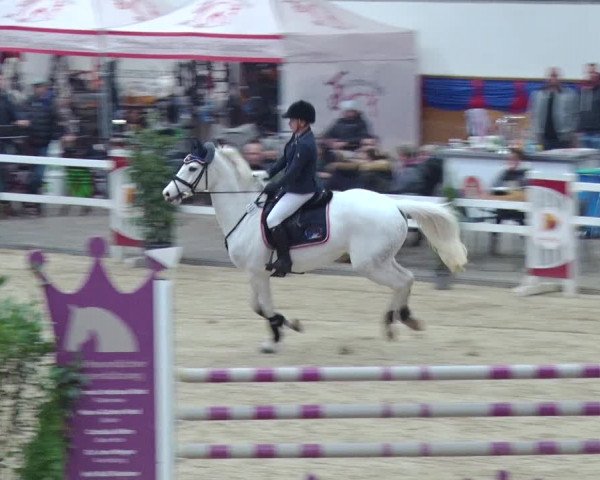 Reitturnier Neustadt/Dosse 2018