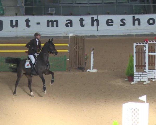 Reitturnier Kreuth 2018