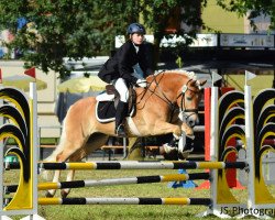 broodmare Nelke (2,73% ox) (Westphalian, 2006, from Nekoma B (2,34% ox))