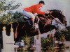 stallion Spontan (Hanoverian, 1982, from Salut)