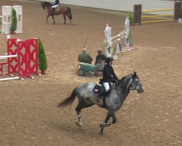 Reitturnier Kreuth 2018