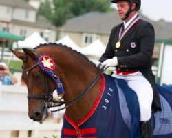 dressage horse Ritter Benno (Westphalian, 2001, from Rolls Royce)