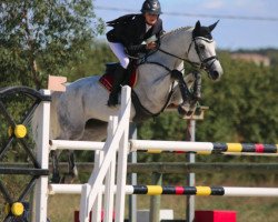 broodmare Vixen Trust Claddagh (Connemara Pony, 2009, from Dexter Leam Pondi)