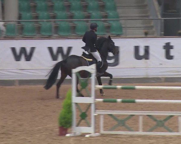 Reitturnier Kreuth 2018