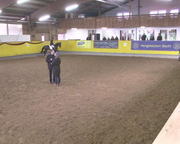 Reitturnier Ellwangen-Röhlingen 2018