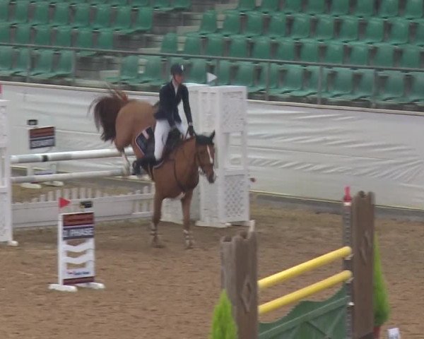 Reitturnier Kreuth 2018