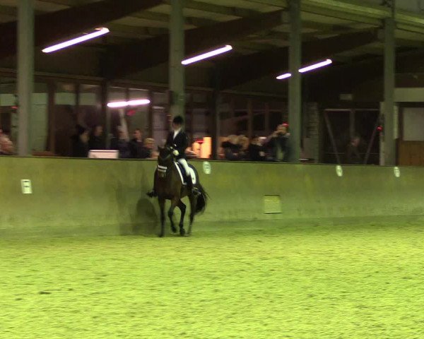 Reitturnier Appelhülsen 2018