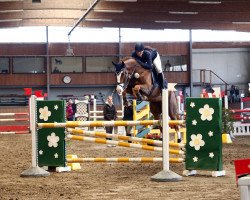 jumper Clooney 108 (Oldenburg show jumper, 2011, from Cartoon)