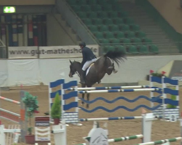 Reitturnier Kreuth 2018