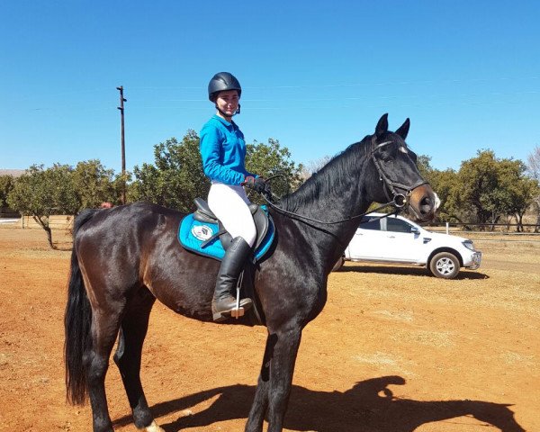 jumper Lacatcho (Hanoverian, 2005, from Lacantus)