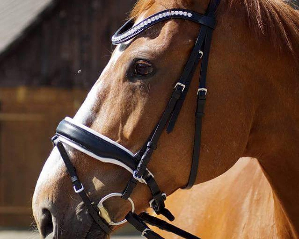 horse Pearl La Rouge (Westphalian, 2001, from Poly Royal)