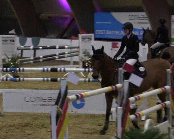 Reitturnier Essen-Stadtwald 2018