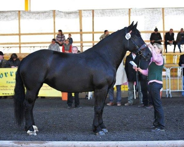 broodmare Bote-Ravenna (Noric, 2004, from Monaco Nero XIV)