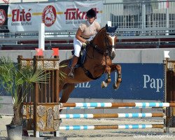 jumper Balou de Ville (Oldenburg, 2007, from Balou du Rouet)