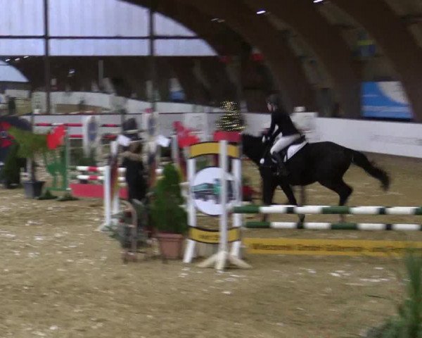Reitturnier Essen-Stadtwald 2018
