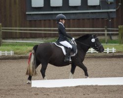 dressage horse Leonie (unknown, 2007)