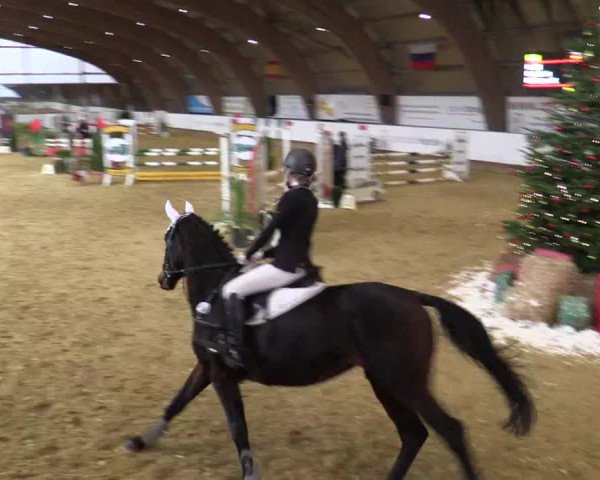 Reitturnier Essen-Stadtwald 2018