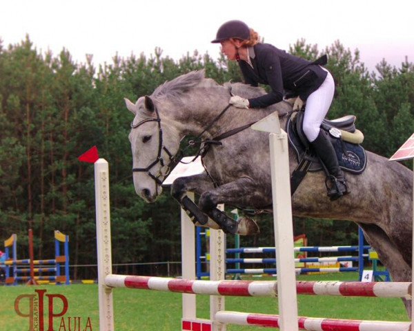 jumper Callame (German Sport Horse, 2009, from Callado 2)