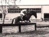 stallion Gon (Little-Poland (malopolska), 1980, from Saroyan xx)