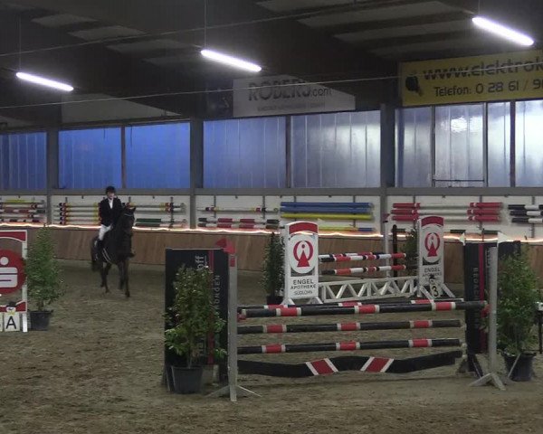 Reitturnier Südlohn-Oeding 2018