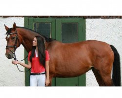 broodmare Whitney 318 (Bavarian, 2000, from Akribori)