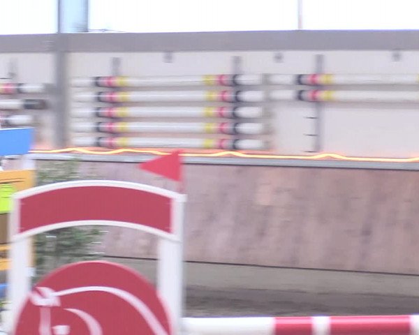 Reitturnier Südlohn-Oeding 2018