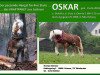 stallion Oskar (Rhenish-German Cold-Blood, 2003, from Orloff)